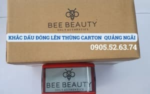 KHẮC DẤU ĐÓNG LÊN THÙNG CARTON TẠI QUẢNG NGÃI